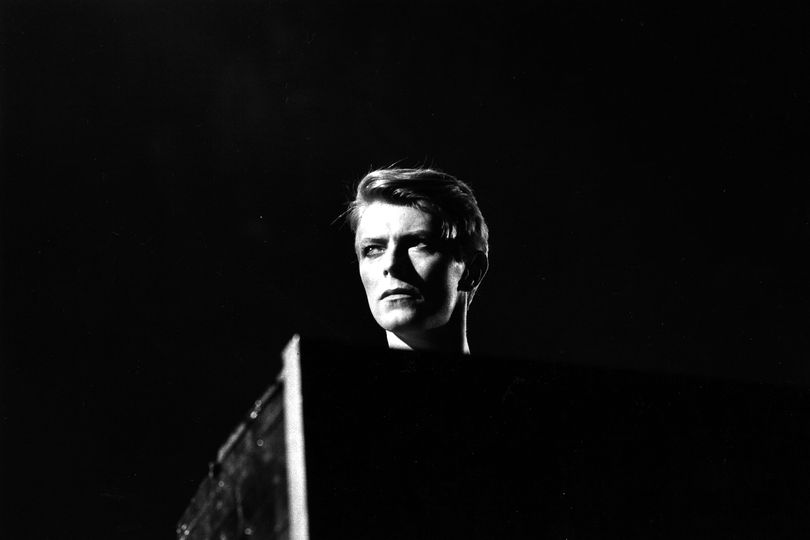 Iconic Photos from the Getty Images gallery: Head Of David

British pop singer David Bowie in concert at Earl's Court, London during his 1978 world tour. (Photo by Evening Standard/Getty Images)

Evening Standard