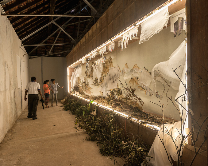 Kochi Biennale 2014: Xu Bing's Background Story: Endless Xishan Mountain Scenery(2014)  installed at Aspinwall House. 