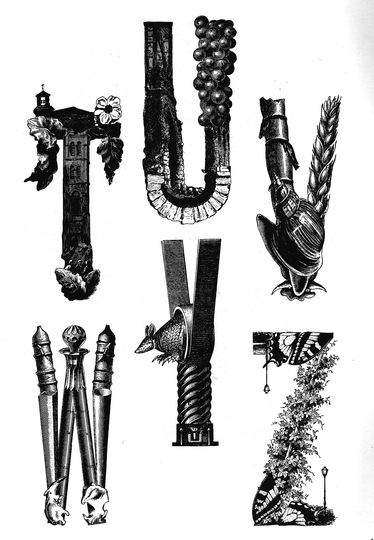 Amazing alphabets
