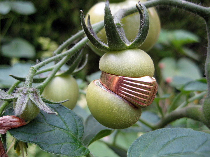 Nature morte/Nature vivante: For the farmer and the market gardener - Work in progress © Hilde De DECKER
