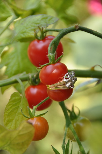 Nature morte/Nature vivante: Hilde De DECKER, For the farmer and the market gardener - Work in progress © Hilde de Decker
