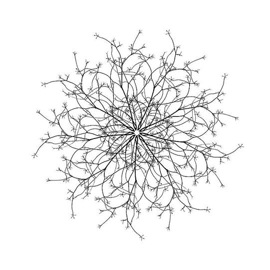 Trees in Winter: 