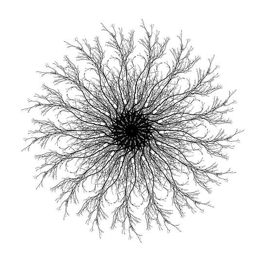 Trees in Winter: 