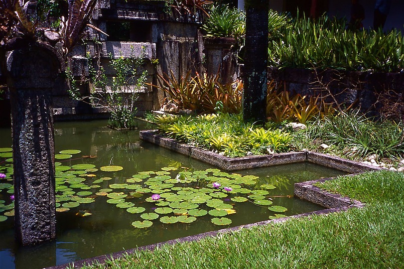 Roberto Burle Marx: Landscaping Brazil: 