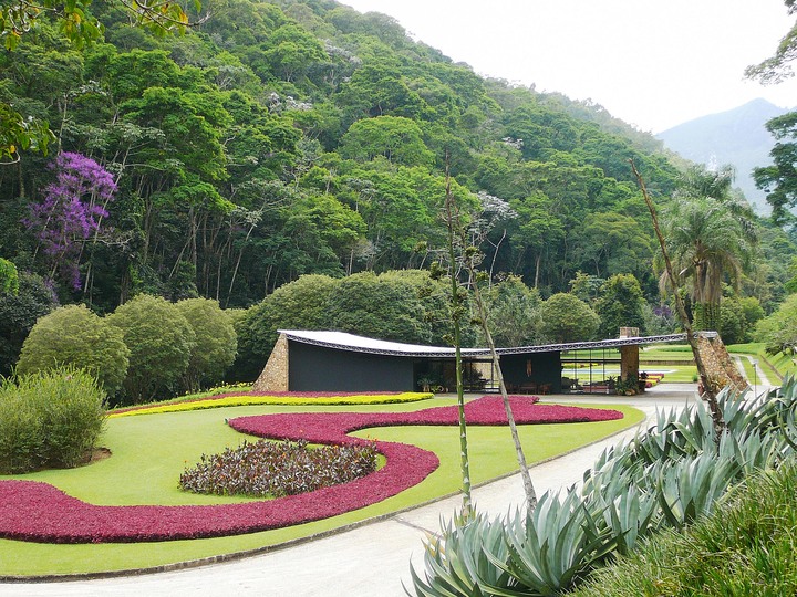 Roberto Burle Marx: Landscaping Brazil: 