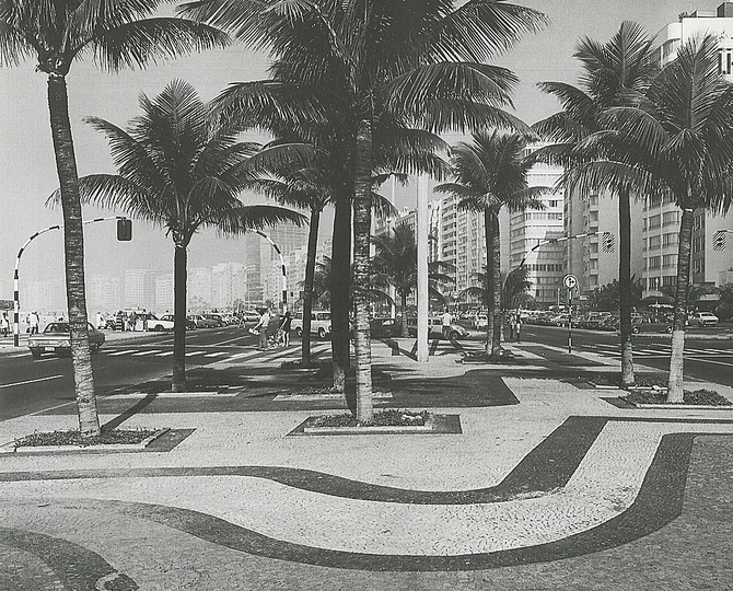 Roberto Burle Marx: Landscaping Brazil: 