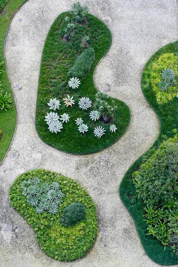 Roberto Burle Marx: Landscaping Brazil: 