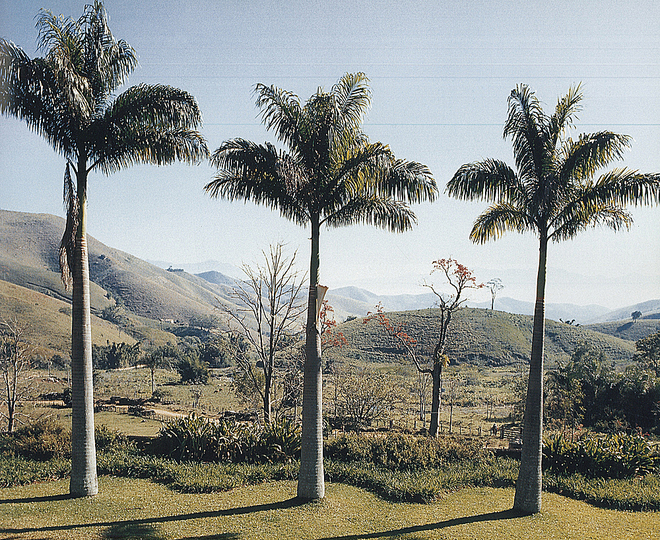 Roberto Burle Marx: Landscaping Brazil: 