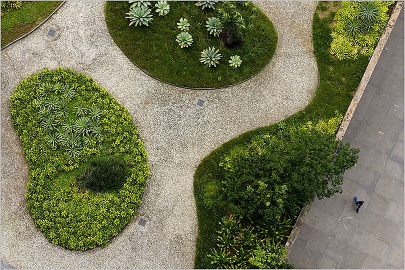 Roberto Burle Marx: Landscaping Brazil: 