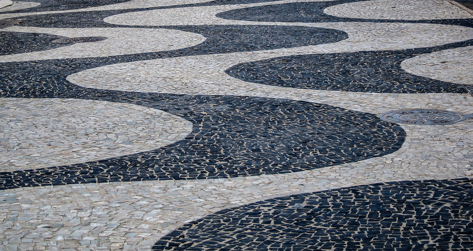 Roberto Burle Marx: Landscaping Brazil: 