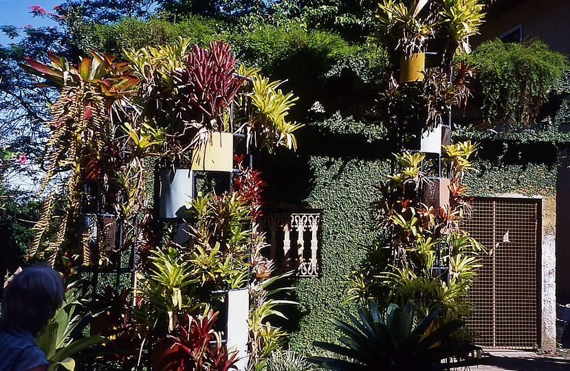 Roberto Burle Marx: Landscaping Brazil: 