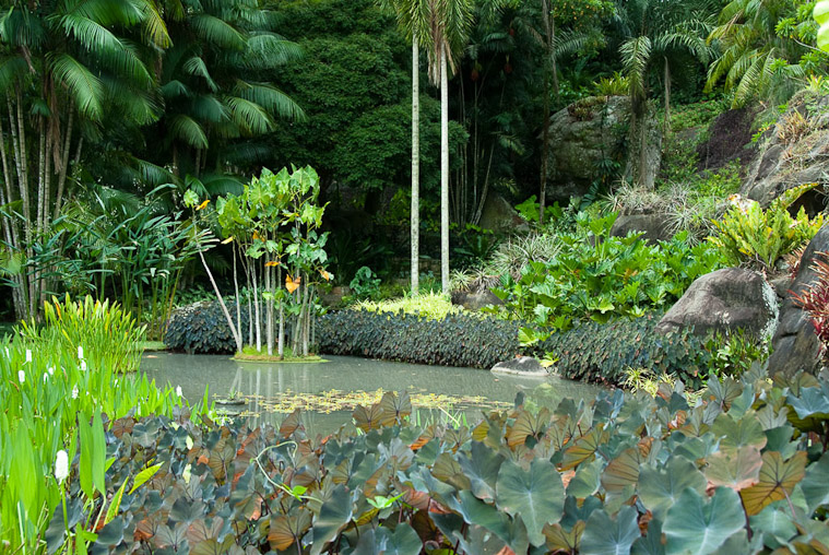 Roberto Burle Marx: Landscaping Brazil: 