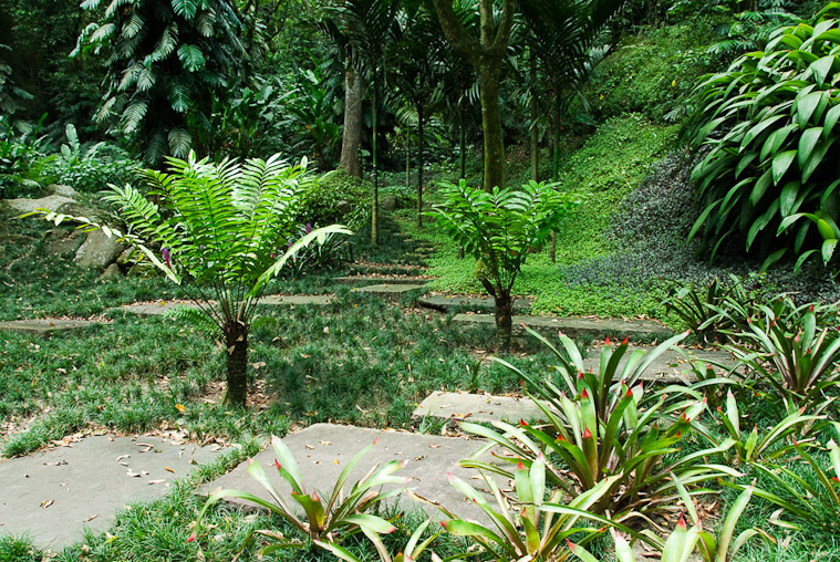 Roberto Burle Marx: Landscaping Brazil: 