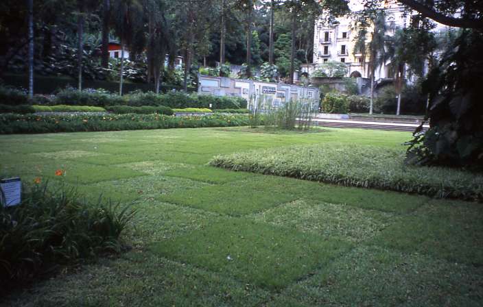 Roberto Burle Marx: Landscaping Brazil: 