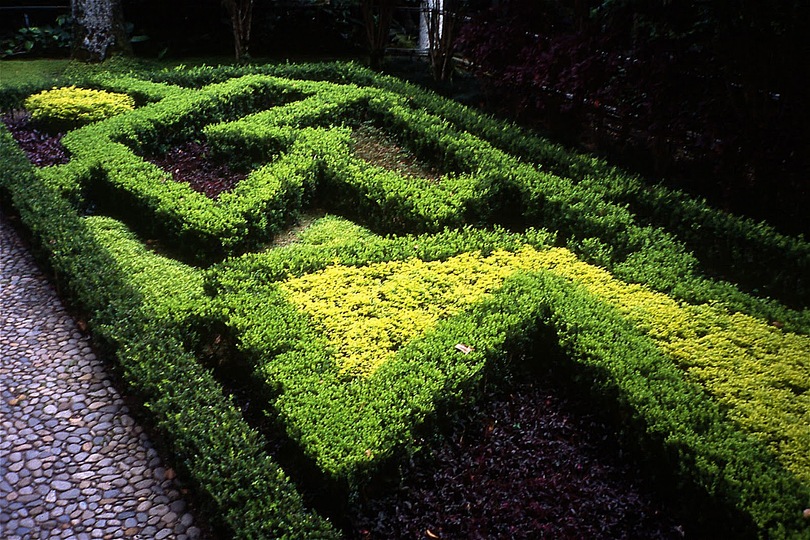 Roberto Burle Marx: Landscaping Brazil: 