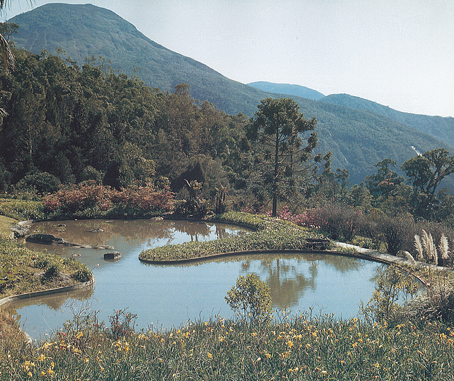 Roberto Burle Marx: Landscaping Brazil: 