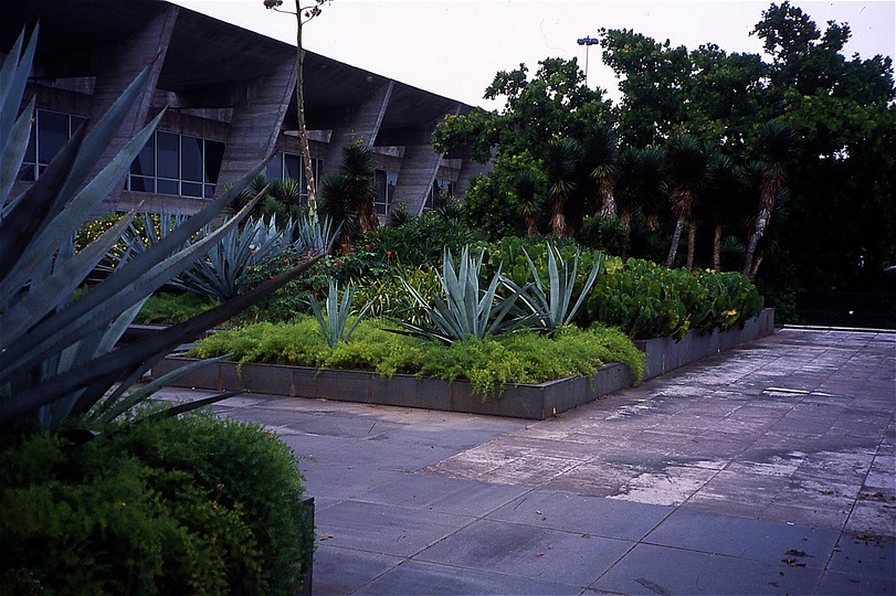 Roberto Burle Marx: Landscaping Brazil: 