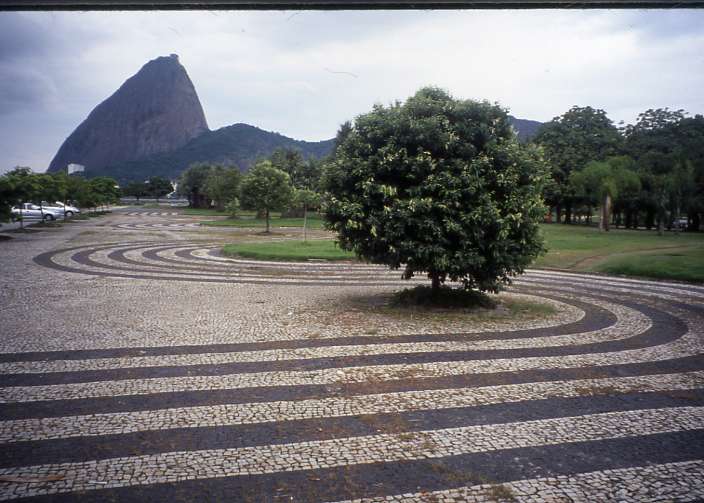 Roberto Burle Marx: Landscaping Brazil: 