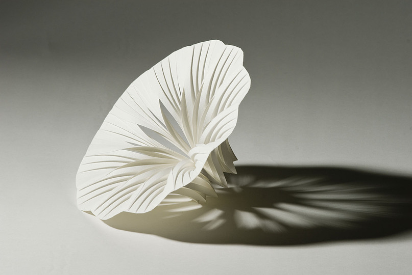 Paper sculptures
