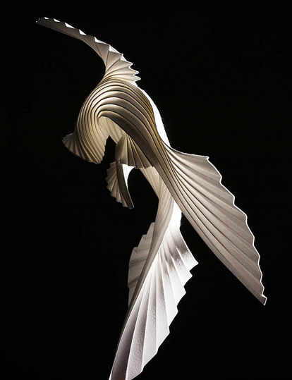 Paper sculptures