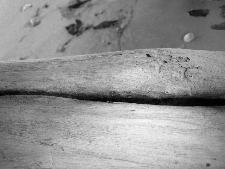 Driftwood: 