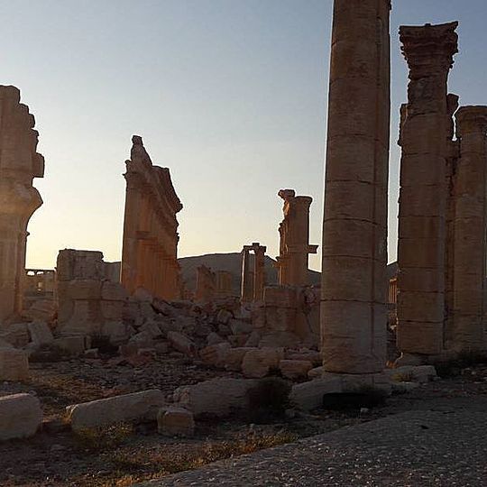 Palmyra, End of March, 2016: 