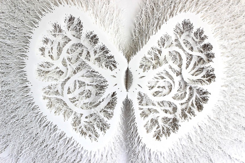 Rogan Brown: Paper Sculptures: 