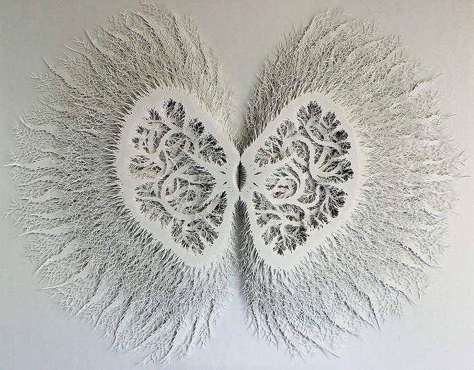 Rogan Brown: Paper Sculptures: 