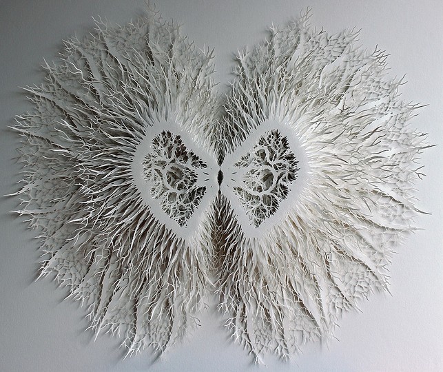 Rogan Brown: Paper Sculptures: 