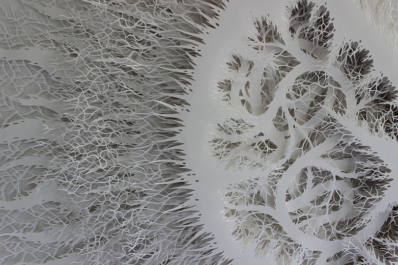 Rogan Brown: Paper Sculptures: 