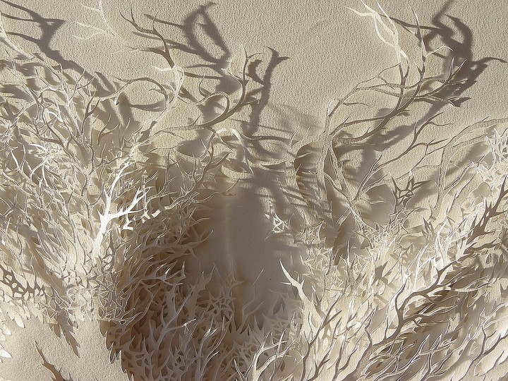 Rogan Brown: Paper Sculptures: 