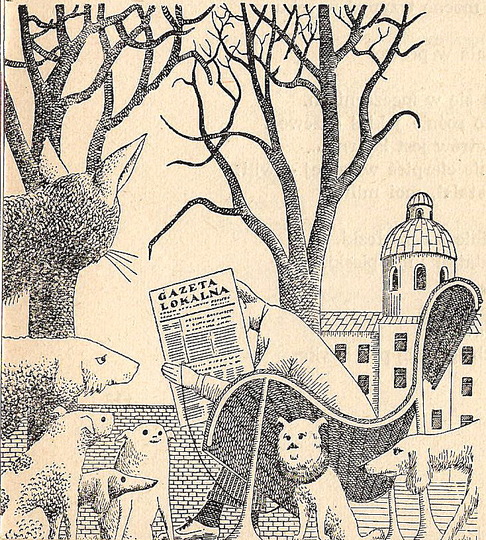 Master of Fantastic Illustration: Daniel Mróz: 