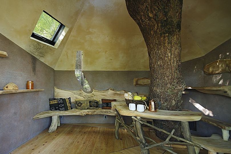 Bird´s Nest: 