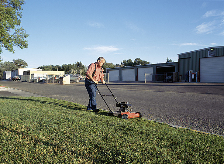 mowing the lawn: 