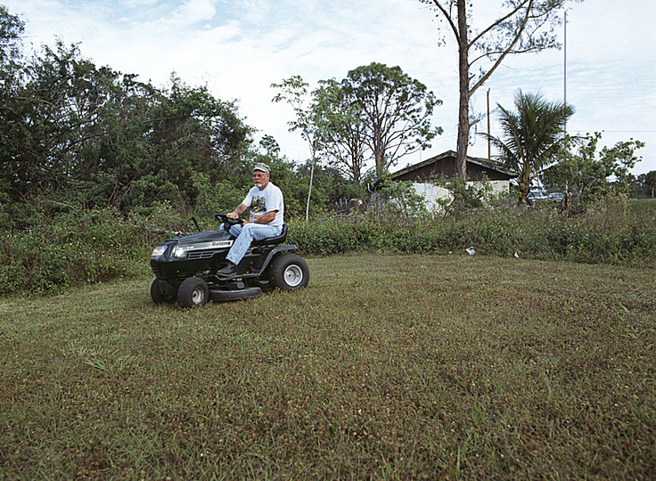 mowing the lawn: 