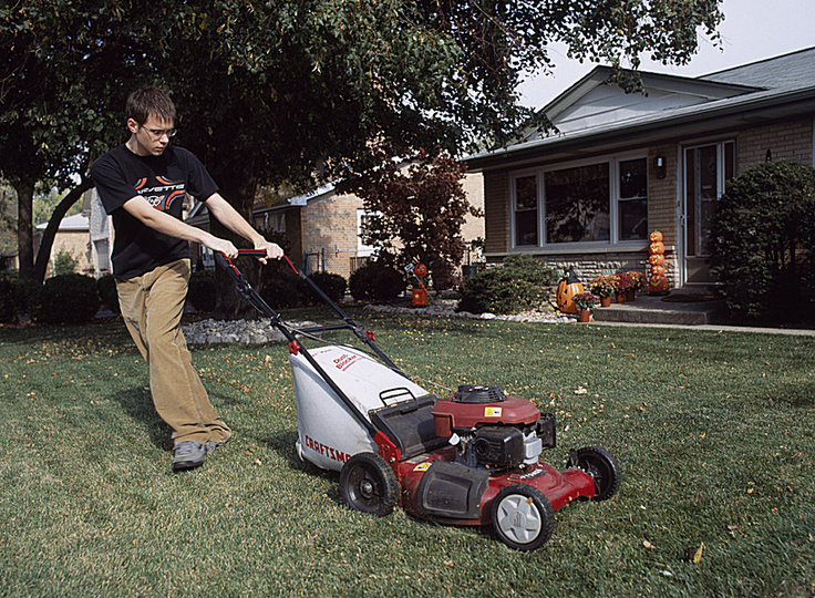 mowing the lawn: 