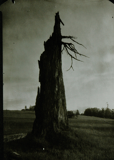 Josef Sudek: 