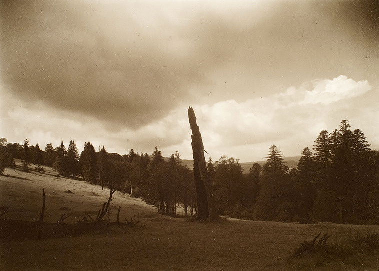 Josef Sudek: 