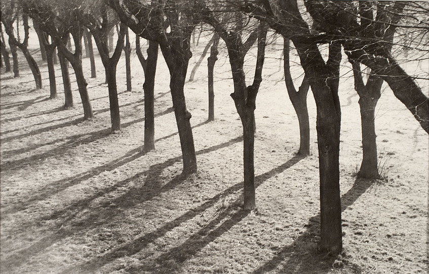 Josef Sudek: 