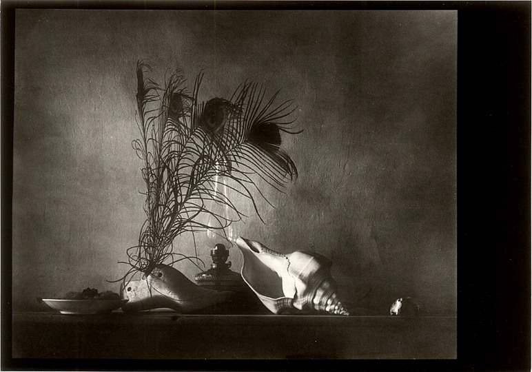 Josef Sudek: 