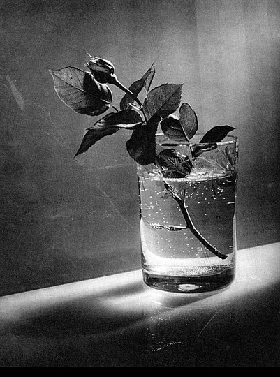 Josef Sudek: 