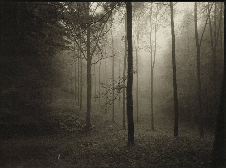 Josef Sudek: 