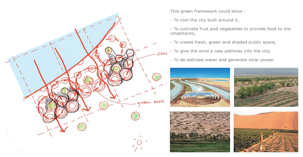 The Zero Carbon Project: 