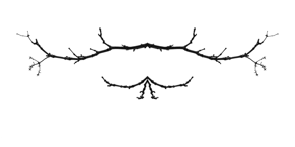 Tree Calligraphy: 