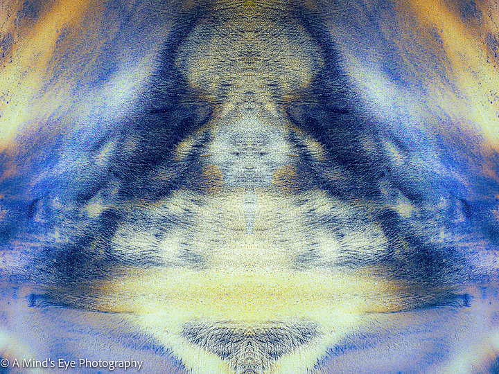 Morphogenesis: Morphogenesis-13