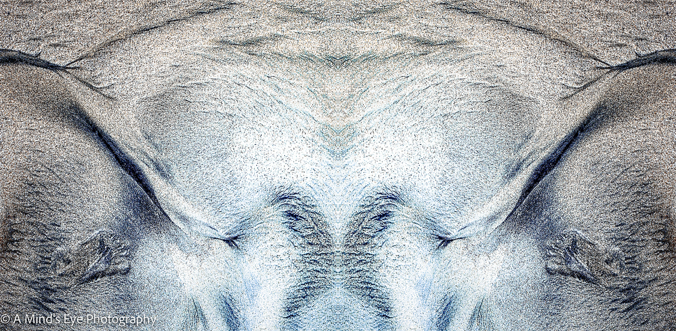 Morphogenesis: Morphogenesis-12