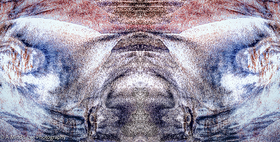 Morphogenesis: Morphogenesis-27
