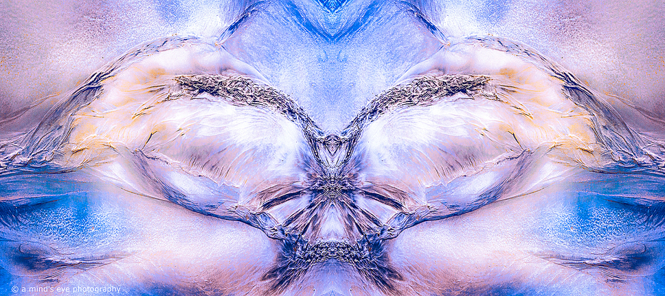 Morphogenesis: Morphogenesis-4