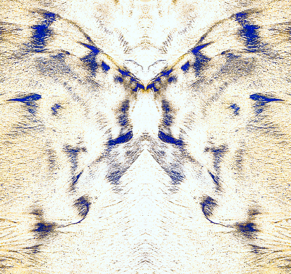 Morphogenesis: Morphogenesis-5