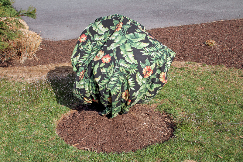 butter knife: floral fabric covering a plant